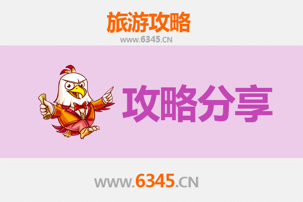 阿拉尔兵团十一团旅游攻略：跟团与自由行深度解析